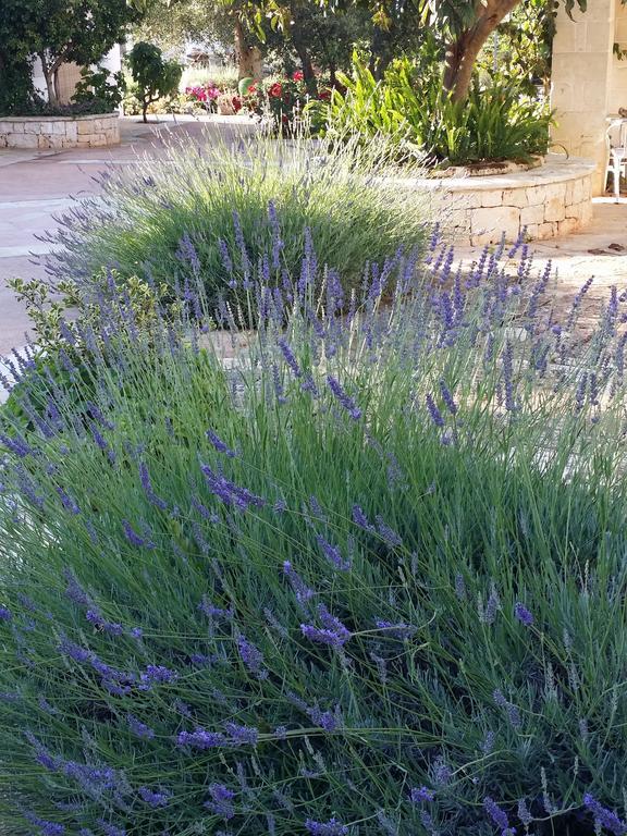 Il Melograno Bed & Breakfast Ceglie Messapica Exterior photo