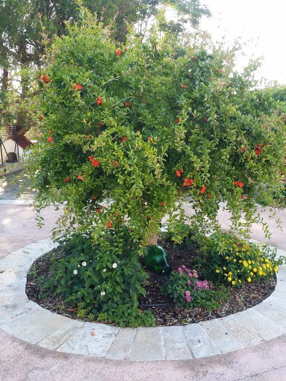 Il Melograno Bed & Breakfast Ceglie Messapica Exterior photo